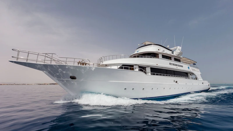 Crucero Golden Dolphin I