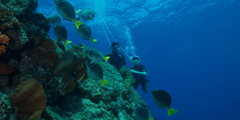 Isla de la Sal charter verano