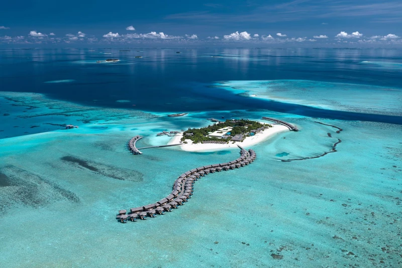 Maldivas The Cocoon Collection - ofertas primavera