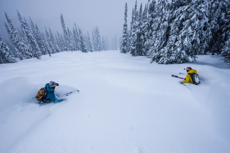 Revelstoke y Kicking Horse