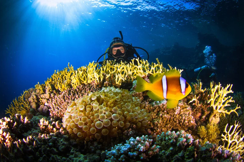 Marsa Alam